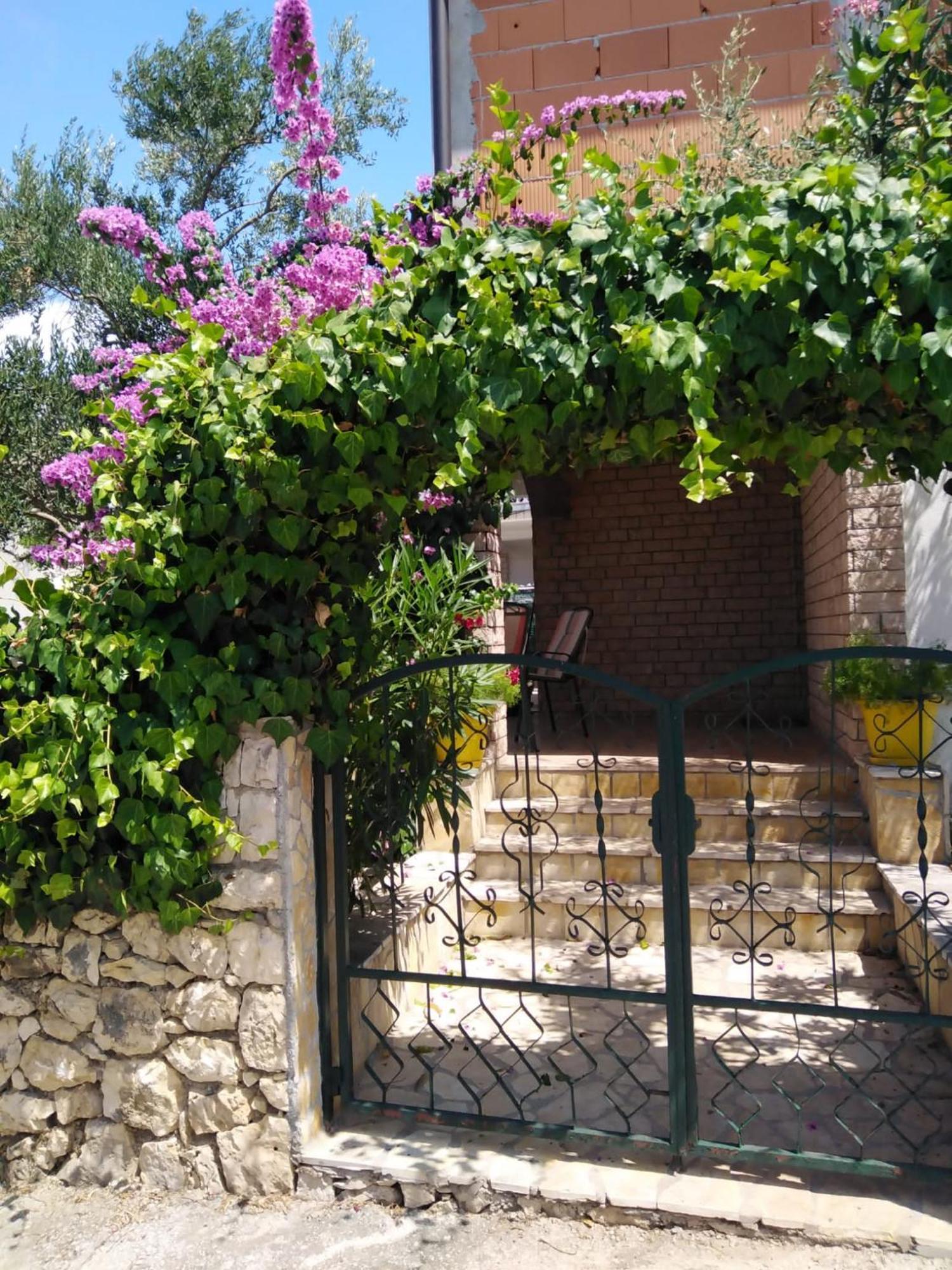 טרוגיר Apartman Gordana חדר תמונה